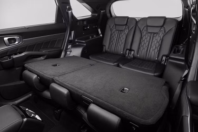 Đây cũng là là chiếc Kia đầu tiên tích hợp tính năng Kia Pay, cho phép người dùng dễ dàng thanh toán qua màn hình giải trí tại các trạm xăng hay các bãi xe. Ngoài ra còn có chế độ xem 360 độ từ xa bằng điện thoại thông minh hay qua màn hình, hóa kỹ thuật số Kia Digital Key hay sạc không dây.