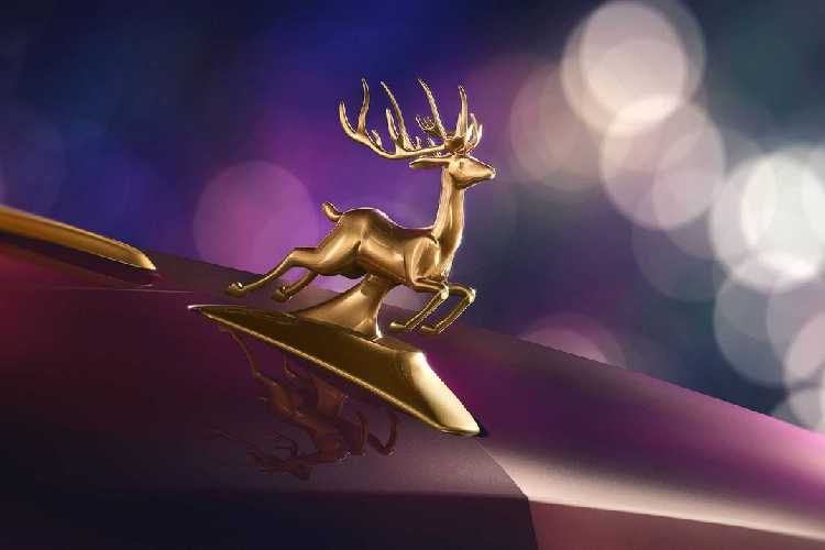 Biểu tượng cánh chim ở đầu xe được thay thế bằng một chú tuần lộc bay. Giữa nắp capo cũng có một dải trang trí màu vàng kéo dài. Líp cản trước, ốp sườn và bộ mâm 22 inch cũng được thếp vàng bắt mắt.