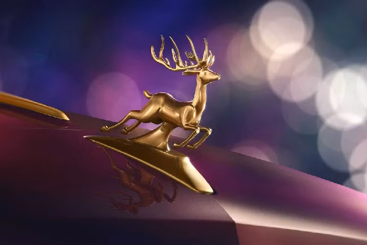 Biểu tượng cánh chim ở đầu xe được thay thế bằng một chú tuần lộc bay. Giữa nắp capo cũng có một dải trang trí màu vàng kéo dài. Líp cản trước, ốp sườn và bộ mâm 22 inch cũng được thếp vàng bắt mắt.