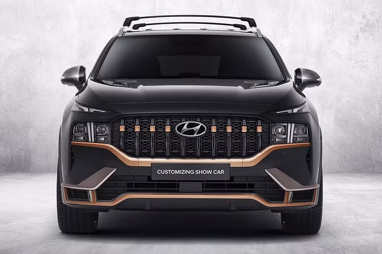 Diện mạo của SantaFe N-Performance trông mạnh mẽ và hầm hố hơn khi lưới tản nhiệt dạng tổ ong nguyên bản được thay thế bằng thiết kế gồm nhiều thanh kim loại cỡ lớn xếp theo chiều dọc. Đi cùng với đó, các chi tiết viền mặt ca-lăng và cản trước tạo hình sắc sảo hơn và sơn màu vàng cát Sahara Beige. Ngoài ra, trên nắp capô xuất hiện thêm 2 chi tiết hốc hút gió làm từ vật liệu sợi carbon.