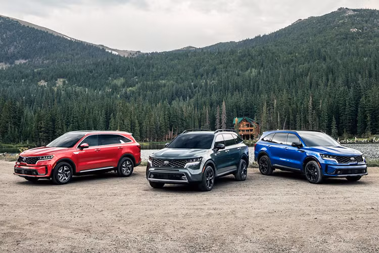 Trước hết, bản L của Sorento đời trước tại Mỹ sẽ bị loại bỏ, Kia Sorento 2021 mới sẽ khởi đầu với bản LX có giá từ 30.560 USD (tương đương 710 triệu đồng). Theo CarsDirect, Kia Sorento 2021 tại Mỹ sẽ có giá đắt hơn phiên bản trước khoảng 2.450 USD.