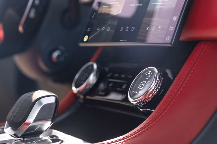 Tại Mỹ, Jaguar cung cấp cho khách hàng 3 tùy chọn động cơ xăng đối với F-Pace 2021. Phiên bản P250 và S250 sử dụng động cơ tăng áp I4 2.0L có công suất 246 mã lực. Mạnh hơn là model P350 sử dụng cấu hình lai nhẹ (mild-hybrid - MHEV), động cơ tăng nạp I6 3.0L kết hợp cùng một động cơ điện sản sinh tổng công suất 335 mã lực.