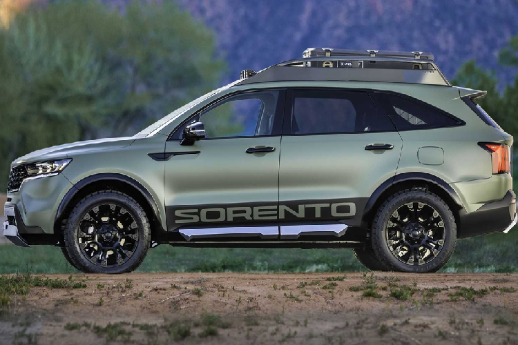 Giá nóc cỡ lớn phía trên có thể đặt bánh phụ hoặc hành lý. Ngoài ra, xe còn có thanh đèn LED trợ sáng gắn trên mui.