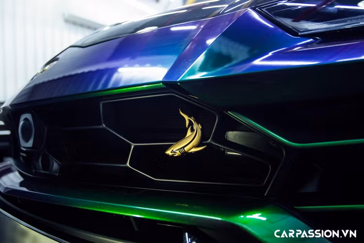 Có thể nói Việt Nam là một thị trường đầy tiềm năng cho các thương hiệu chuyên độ xe trên toàn cầu. Tính từ thời điểm bắt nguồn phong trào chơi siêu xe trong nước đến nay, sự xuất hiện của những tên tuổi hàng đầu thế giới như Mansory, Hamann, Novitec, Vorsteiner, Brabus hay Liberty Walk Performance... Mới đây nhất, chúng ta lại phải trầm trồ trước những hình ảnh của mẫu siêu SUV Lamborghini Urus tại Việt Nam xuất hiện trên trang chủ của nhà độ lừng danh đến từ Nga – TopCar.