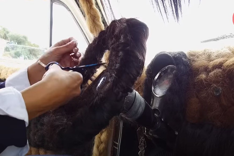 Kỷ lục này đã được công nhận lần đầu trong năm 2010 bởi Sách Kỷ lục Guinness Thế giới, và thêm một lần nữa trong năm 2014, khi Maria vượt qua kỷ lục của chính mình và bổ sung thêm 20 kg tóc nữa cho chiếc xe. Ngày nay, chiếc Fiat có mang trên mình 120 kg tóc.