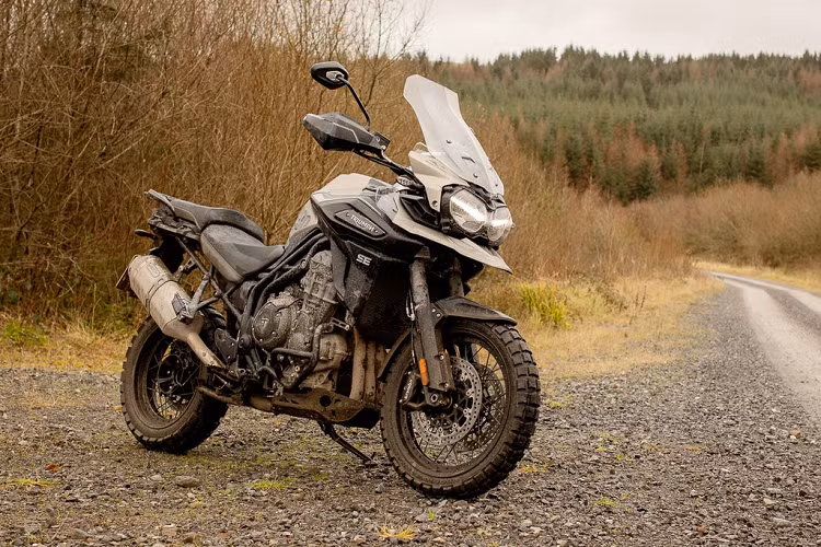 Triumph chưa công bố giá bán của 2 phiên bản đặc biệt này, tuy nhiên nhiều khả năng mức giá của phiên bản Desert và Alpine sẽ không quá chênh lệch so với các phiên bản Tiger 1200 khác đang được bán trên thị trường.