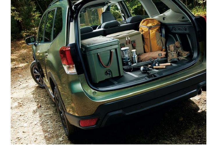 Khoang hành lý được thiết kế mới, có ray trượt cho phép xếp và lấy đồ tiện lợi hơn. Đèn LED được tích hợp phía trên, giúp sắp xếp đồ đạc dễ dàng trong đêm tối.