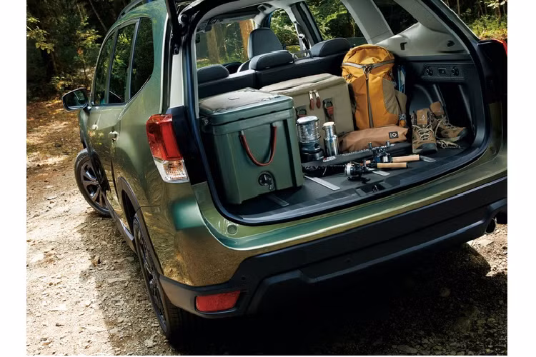 Khoang hành lý được thiết kế mới, có ray trượt cho phép xếp và lấy đồ tiện lợi hơn. Đèn LED được tích hợp phía trên, giúp sắp xếp đồ đạc dễ dàng trong đêm tối.