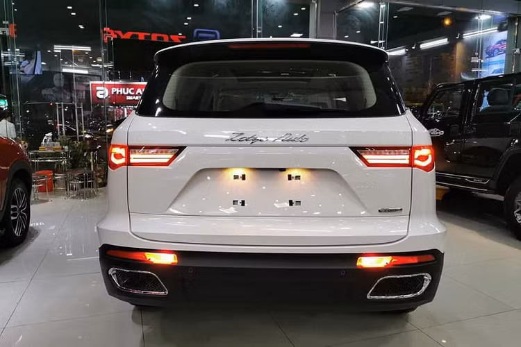 Nhiều người vẫn còn dè dặt đối với những xe Zotye Z8L Trung Quốc tại Việt Nam vì lo ngại về chất lượng sản phẩm. Đáng chú ý nhất vẫn là chất lượng, chế độ bảo hành cũng với việc vận hành lâu dài không ổn định. Bên cạnh đó là việc mua đi, bán lại thường mất giá khá cao...