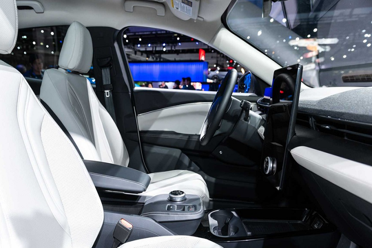 Ford cho biết Mustang Mach-E sẽ là đối thủ cạnh tranh với Tesla Model Y. Phiên bản tiêu chuẩn của Mach-E tại châu Âu vẫn chưa được hãng công bố thông số cụ thể, nhưng giới chuyên môn dự đoán xe sẽ có công suất 255 mã lực và mô-men xoắn 565 Nm, hệ dẫn động 4 bánh.