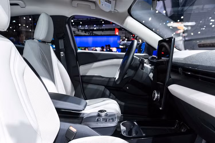 Ford cho biết Mustang Mach-E sẽ là đối thủ cạnh tranh với Tesla Model Y. Phiên bản tiêu chuẩn của Mach-E tại châu Âu vẫn chưa được hãng công bố thông số cụ thể, nhưng giới chuyên môn dự đoán xe sẽ có công suất 255 mã lực và mô-men xoắn 565 Nm, hệ dẫn động 4 bánh.