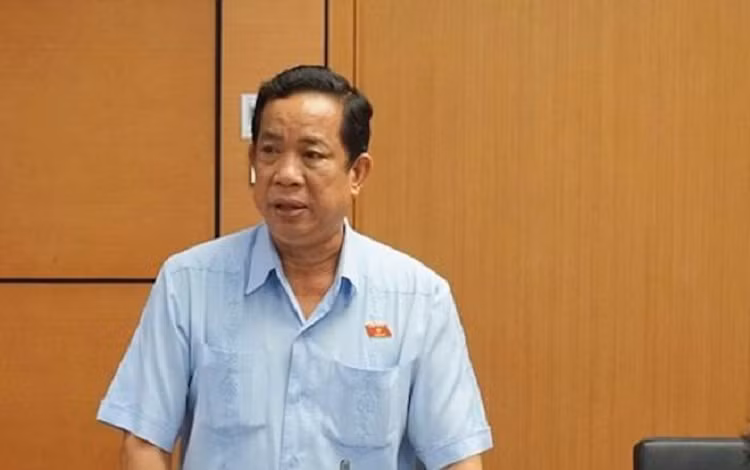 Dai bieu Quoc hoi buc xuc: 'Chi len TV moi mua duoc thit lon gia re'-Hinh-2