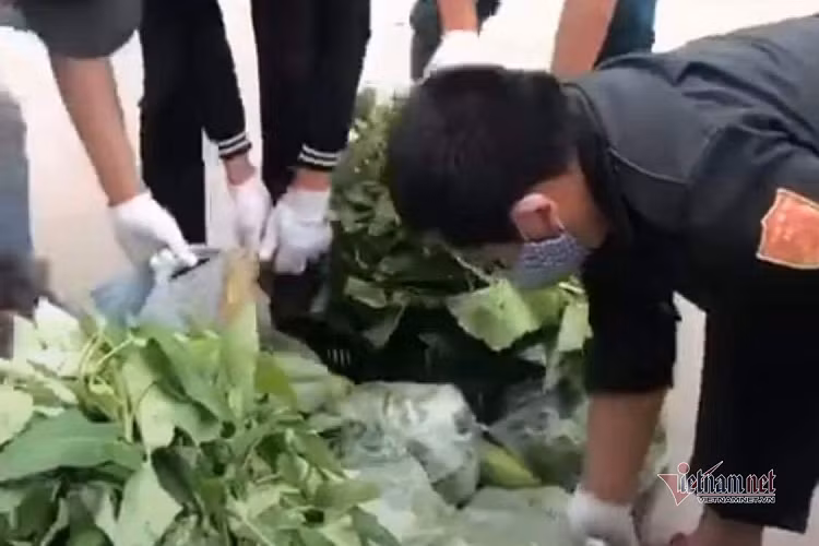 Chi ban rau ke viec bi nu Pho chu tich phuong noi 'con dien nay'-Hinh-3