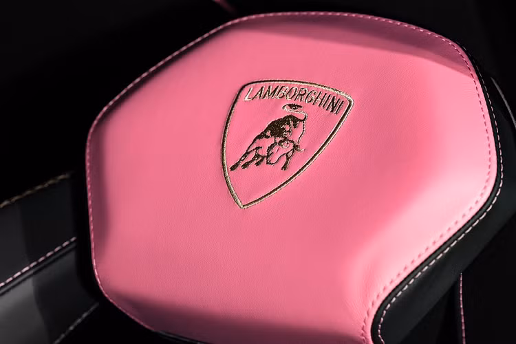 Vì là một chiếc Aventador SVJ 63 nên phần mui xe và nắp động cơ phía sau được làm bằng sợi carbon mờ để phân biệt với 900 chiếc Aventoador SVJ thông thường. Ngoài ra, một số chi tiết khác như cánh gió cố định, cản trước, cản sau, ốp gương đều được hoàn thiện bằng sợi carbon.