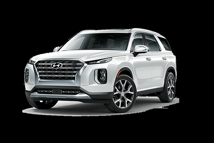 Trước đây từng có nhiều thông tin về việc Hyundai Palisade hoàn toàn mới có thể phân phối tại Việt Nam, nhưng đến nay mẫu xe này vẫn chưa có dấu hiệu nào về việc phân phối ở nước ta.