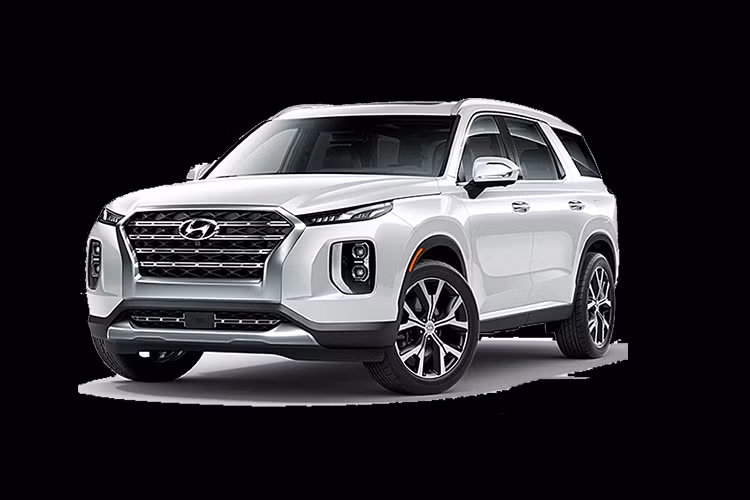 Trước đây từng có nhiều thông tin về việc Hyundai Palisade hoàn toàn mới có thể phân phối tại Việt Nam, nhưng đến nay mẫu xe này vẫn chưa có dấu hiệu nào về việc phân phối ở nước ta.