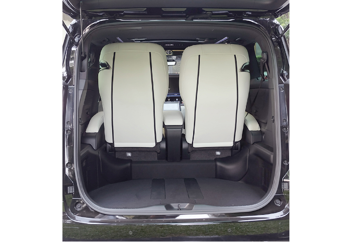 Xe sử dụng kết hợp với động cơ điện trước/sau có công suất lần lượt: 105kW + 270Nm và 50kW + 139Nm cho tổng công suất khoảng 145 kW / 197 PS. LM300h sử dụng hộp số tự động biến thiên vô cấp (E-CVT), dẫn động bốn bánh. Xe có khả năng tăng tốc từ 0 - 100km/h chỉ trong 10,5 giây trước khi đạt tốc độ tối đa 180 km/h.