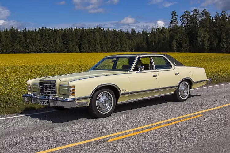  Hơn cả những chiếc xe Italy, Ford LTD là mẫu xe cỡ lớn và sang trọng của Mỹ mà các băng đẳng mafia ưa thích sử dụng. LTD có kiểu dáng khá to lớn với phần đầu được kéo dài tương tự những mẫu xe sang trọng hiện đại. Trong suốt 22 năm sản xuất, Ford đã bán được hơn 5 triệu chiếc LTD.