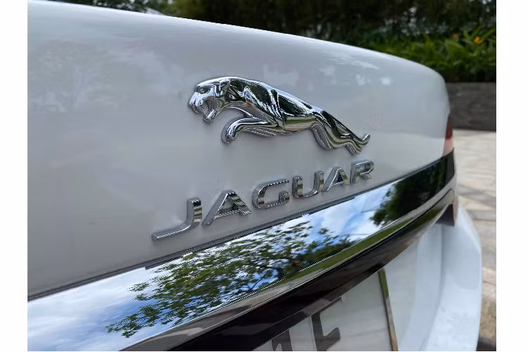 Dòng Jaguar XF được định vị nằm ở phân khúc sedan hạng sang cỡ trung, nên hàng ghế sau khá rộng rãi cho khoảng để chân thoải mái. Nội thất xe Jaguar được đánh giá cao ở ghế ngồi bọc da mềm mại tạo cảm giác thoải mái cho người ngồi. Ghế ngồi thiết kế khá ôm lưng, trong khi tất cả các hàng ghế ngồi đều được trang bị tựa đầu. Ngoài thân thân vỏ xe được người dùng đánh giá cao ở độ dầy dặn, đầm chắc. Hệ thống lái thể thao, sắc bén.