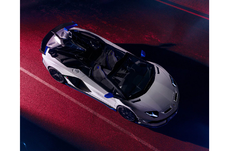 Aventador SVJ Roadster Xago Edition lấy cảm hứng từ các đám mây hình lục giác xung quanh cực bắc của hành tinh Sao Thổ, kết hợp với đó chính là họa tiết lục giác Hexagon quen thuộc thường được sử dụng làm nguồn cảm hứng thiết kế trên những mẫu Lamborghini hiện đại. Ngoại thất của xe được trang trí với các mảng họa tiết Hexagon được thiết kế theo dạng đậm nhạt đầy ấn tượng trên phần ngoại thất sáng màu. Phần họa tiết này đã mất tới 120 giờ để sản xuất và có hiệu ứng màu bạc đầy ấn tượng.