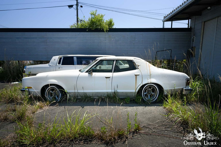 Đặc biệt, trong số những chiếc ôtô bị bỏ rơi trong đại lý, còn có một chiếc xe tang. Tại Nhật Bản, xe tang được gọi bằng cái tên reikyūsha và có 2 phong cách thiết kế.