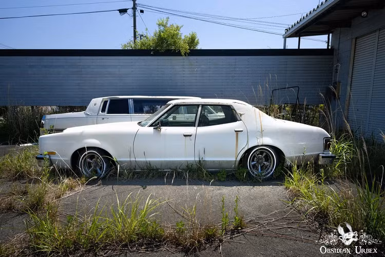 Đặc biệt, trong số những chiếc ôtô bị bỏ rơi trong đại lý, còn có một chiếc xe tang. Tại Nhật Bản, xe tang được gọi bằng cái tên reikyūsha và có 2 phong cách thiết kế.