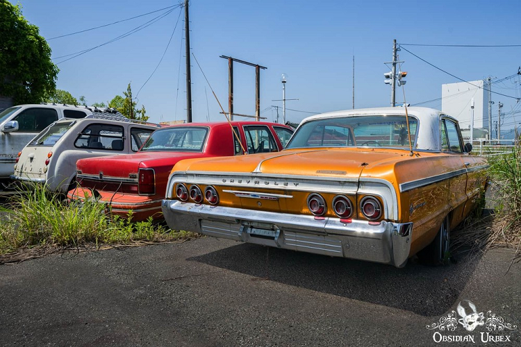 Trên xe tang theo phong cách truyền thống Nhật Bản, toàn bộ phần nội thất đằng sau ghế trước sẽ bị loại bỏ. Khoang phía sau sẽ được làm bằng gỗ và trang trí bằng những chú chim phượng hoàng đuôi dài cũng như rồng màu vàng.