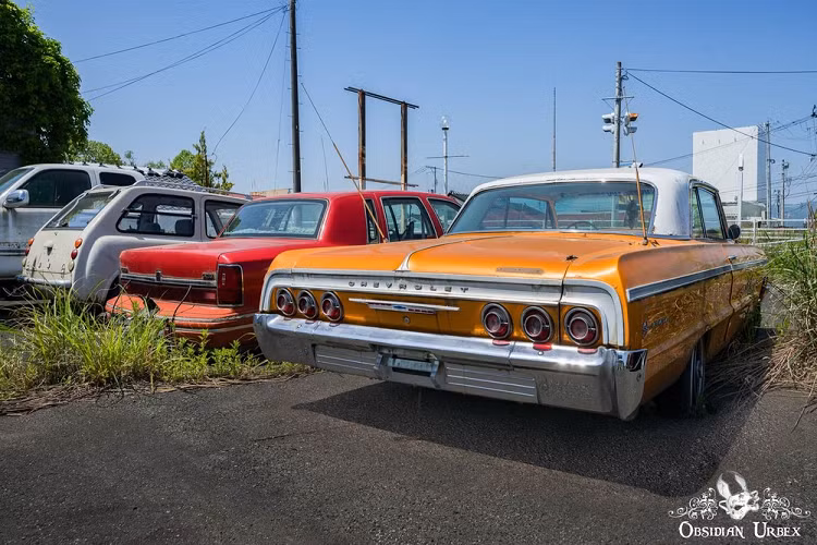 Trên xe tang theo phong cách truyền thống Nhật Bản, toàn bộ phần nội thất đằng sau ghế trước sẽ bị loại bỏ. Khoang phía sau sẽ được làm bằng gỗ và trang trí bằng những chú chim phượng hoàng đuôi dài cũng như rồng màu vàng.