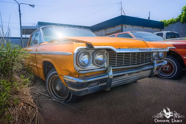 Qua hình ảnh do nữ nhiếp ảnh gia đăng lên mạng, có thể thấy trong sân của đại lý ôtô bỏ hoang tại Nhật xuất hiện những chiếc xế hộp Mỹ như Chevrolet Impala SS đời 1962, Lincoln Towncar, Chevrolet Impala, Cadillac Fleetwood Brougham và Cadillac Connessieur. Ngoài ra, trong đại lý ôtô này còn có một số chiếc xe Nhật Bản như Toyota Tundra đời 2006, Nissan 240SX đời 1989 hay Nissan Pao.