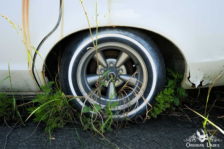 Một là thiết kế như xe tang ở phương Tây với phần đuôi xe mở rộng để đặt quan tài. Thứ hai là phong cách truyền thống của Nhật Bản, trông cầu kỳ và nổi bật hơn với những chi tiết trang trí rồng phượng màu vàng.