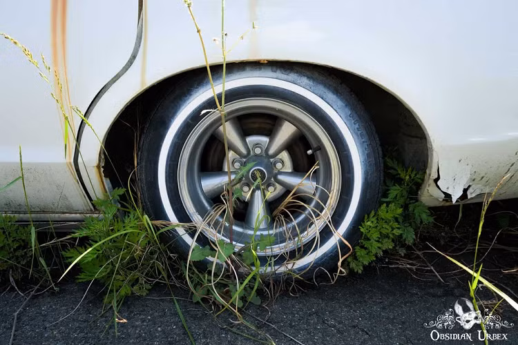 Một là thiết kế như xe tang ở phương Tây với phần đuôi xe mở rộng để đặt quan tài. Thứ hai là phong cách truyền thống của Nhật Bản, trông cầu kỳ và nổi bật hơn với những chi tiết trang trí rồng phượng màu vàng.