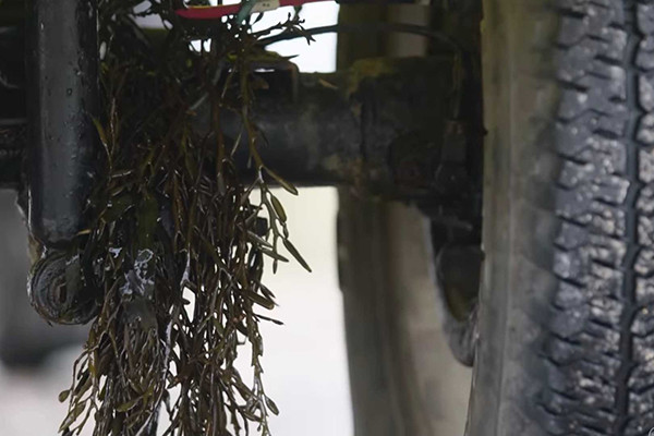 Thân vỏ Suzuki Jimny lưỡng cư cũng được làm bằng nhựa cứng vì cùng nguyên nhân. Tại Anh Quốc, Dutton có bán tất cả các bộ phận để thực hiện việc chuyển đổi trong dạng một bộ kit hoàn chỉnh, hoặc khách hàng có thể ủy quyền cho công ty lắp ráp hoàn toàn cho họ.