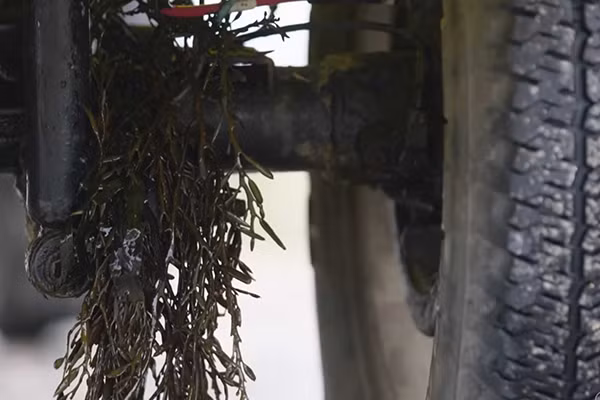 Thân vỏ Suzuki Jimny lưỡng cư cũng được làm bằng nhựa cứng vì cùng nguyên nhân. Tại Anh Quốc, Dutton có bán tất cả các bộ phận để thực hiện việc chuyển đổi trong dạng một bộ kit hoàn chỉnh, hoặc khách hàng có thể ủy quyền cho công ty lắp ráp hoàn toàn cho họ.