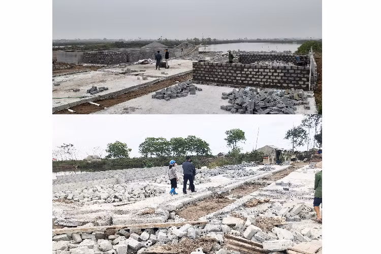 Dung mang nguoi dan lam tro dua truoc phap luat