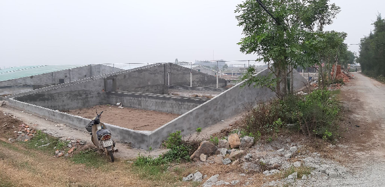 Dung mang nguoi dan lam tro dua truoc phap luat-Hinh-4