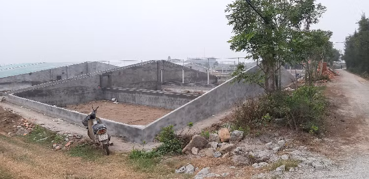 Dung mang nguoi dan lam tro dua truoc phap luat-Hinh-4