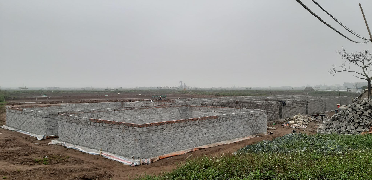 Dung mang nguoi dan lam tro dua truoc phap luat-Hinh-3