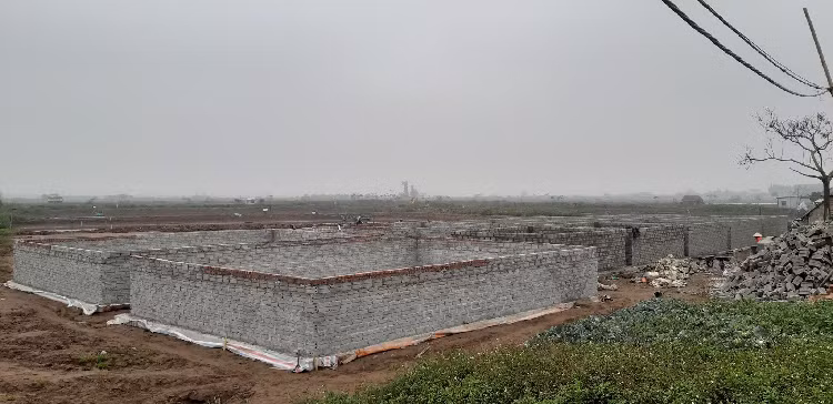 Dung mang nguoi dan lam tro dua truoc phap luat-Hinh-3