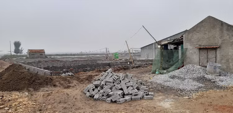 Dung mang nguoi dan lam tro dua truoc phap luat-Hinh-2