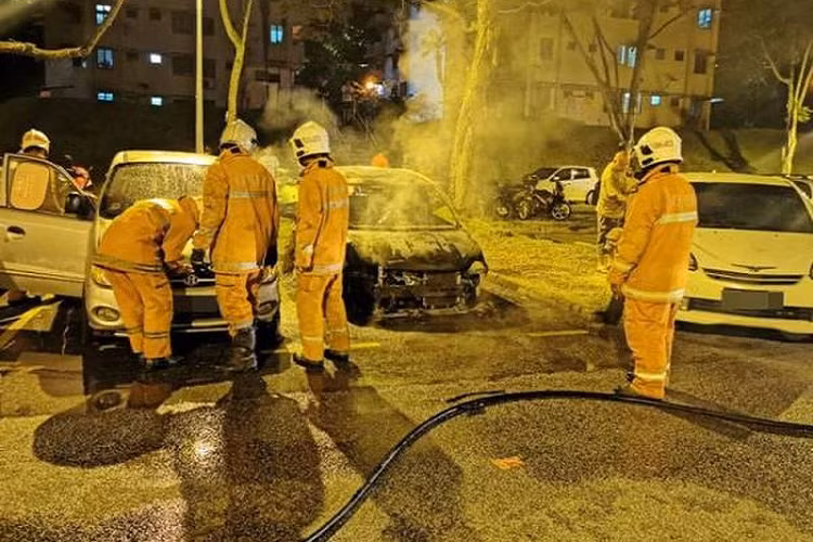 Đúng là không gì là không thể xảy ra, nhưng dù có thiếu thốn ra sao chúng ta cũng không nên dùng cách này để kiếm tiền một cách phi pháp.