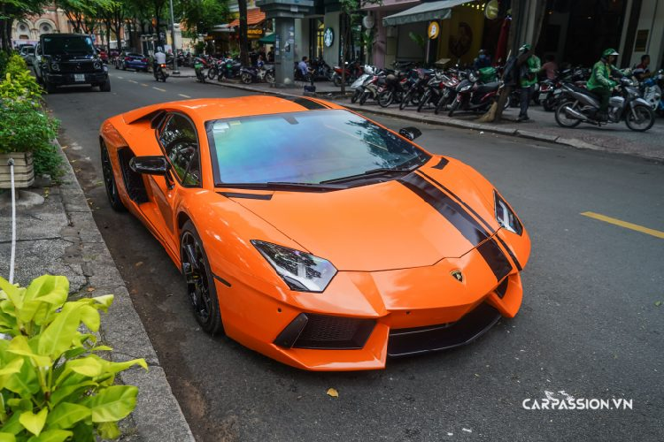 Tại Việt Nam, siêu xe Lamborghini Aventador đã có mặt ngay từ năm 2012, tức chỉ chưa đầy một năm kể từ khi hãng siêu xe này bắt tay vào sản xuất mẫu xe này. Đến nay, đã có hơn chục chiếc Aventador với nhiều phiên bản khác nhau lăn bánh trên khắp các nẻo đường nước ta. Có thể nói, màu sơn trắng là số lượng màu sơn được lựa chọn nhiều nhất khi có đến năm chiếc Aventador sở hữu màu sơn này, tất cả đều thuộc phiên bản LP700-4. Hai trong số đó sở hữu màu sơn trắng mờ có tên gọi Bianco Canopus.