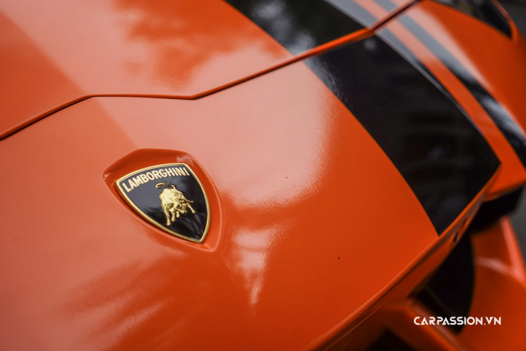 Xe có kích thước tổng thể với chiều dài ở mức 4.780 mm, rộng 2.030 mm khi gập gương (2.265 mm khi mở gương) và cao 1.136 mm cùng trục cơ sở dài 2.700 mm. Xe có cân nặng ở mức 1.731 kg ở biến thể LP700-4. Mẫu xe này thuộc dòng sản phẩm sử dụng động cơ V12 của Lamborghini, và nó được trang bị một động cơ V12 mới hoàn toàn, không phải khối động cơ V12 có tuổi đời hơn bốn mươi năm như trên Murcielago.