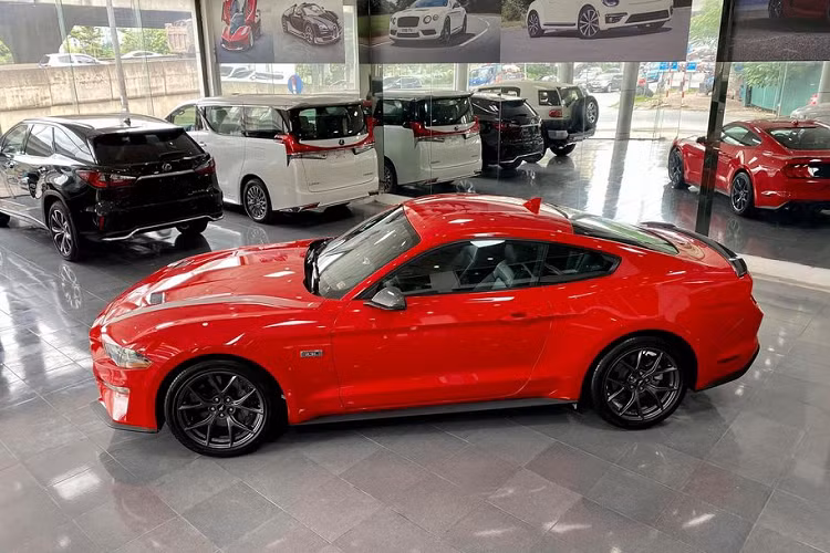 Sức mạnh của mẫu xe này cũng được gia tăng lên 330 mã lực, tăng 20 mã lực so với phiên bản Mustang EcoBoost 2.3L tiêu chuẩn dù cùng sử dụng động cơ 2.3 EcoBoost quen thuộc. Ngoài ra, lượng mô-men xoắn tạo ra của phiên bản High Performance được giữ nguyên ở mức 475 Nm. Giá xe Ford Mustang 2020 bản High Performance được ước tính không dưới 3 tỷ đồng, đắt hơn so với phiên bản thường.