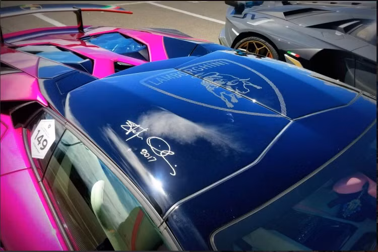 Mui xe hai mảnh, tháo tay được làm bằng sợi carbon và nặng chưa đến 6 kg. Trên chiếc SV Roadster cuối cùng này, phần mui xe được hoàn thiện đen bóng nhưng vẫn chừa lại các đường họa tiết bằng sợi carbon và khi ghép hai mui xe lại sẽ tạo nên logo của Lamborghini.