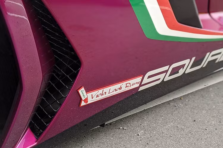 Một số chi tiết khác ở ngoại thất lại được làm bằng sợi carbon, điển hình như bộ khuếch tán, cánh gió lớn phía sau và hai hốc hút gió vào động cơ. Logo LP750-4 SV tiêu chuẩn được thay thế bằng logo “Viola Ladi Rumi” cách điệu.