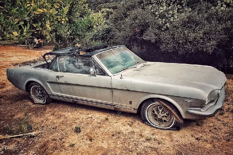 Theo đó, nam diễn viên "Aquaman" đã lên kế hoạch phục chế một chiếc ô tô mang thương hiệu Ford Mustang đời 1965. Đây chính là chiếc ôtô đầu tiên của Lisa Bonet - vợ Jason Momoa. Bà xã của nam diễn viên sở hữu chiếc Ford Mustang này vào năm 17 tuổi.