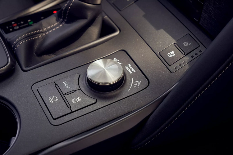 Bên trong cabin, Lexus IS 350 F Sport sở hữu các trang bị tiêu chuẩn bổ sung bao gồm vô-lăng thể thao có sưởi và cụm đồng hồ kỹ thuật số lấy cảm hứng từ huyền thoại LFA. Người mua cũng sẽ có ghế thể thao sưởi / thông gió và các chi tiết trang trí màu đen. Đặc biệt, gói nâng cấp F Sport Dynamic Handling bổ sung hệ thống treo thích ứng, vi sai hạn chế trượt (chỉ dành cho RWD), cánh gió sau bằng sợi carbon và bánh xe BBS 19 inch với lớp sơn đen mờ. Gói trang bị này cũng cho phép cabin được trang trí bằng gỗ tần bì.