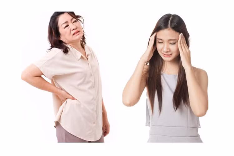 Chieu giang hoa mau thuan me chong va em gai chong