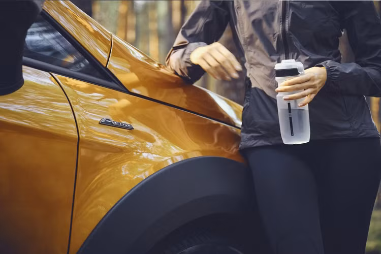 Với việc bổ sung EcoSport Active, Ford phân phối 4 phiên bản của EcoSport tại Anh, bên cạnh bản Zetec, Titanium và ST-Line.