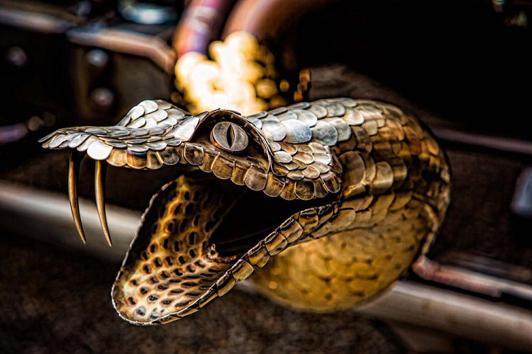 Trang bị một khối động cơ V8 dung tích 5.8 lít với bộ siêu nạp Weiand 6-71, Medieval one có tới 1.000 mã lực mạnh mẽ, thừa đủ để “nướng cháy” bộ lốp Mickey Thompson khổng lồ ở phía sau. Trên thực tế, Bohata cho biết rằng anh ấy thường xuyên thay lốp “như thay quần lót” bởi chúng bị hỏng liên tục, nhưng đó là một phần niềm vui khi sở hữu một chiếc xe khủng như thế.